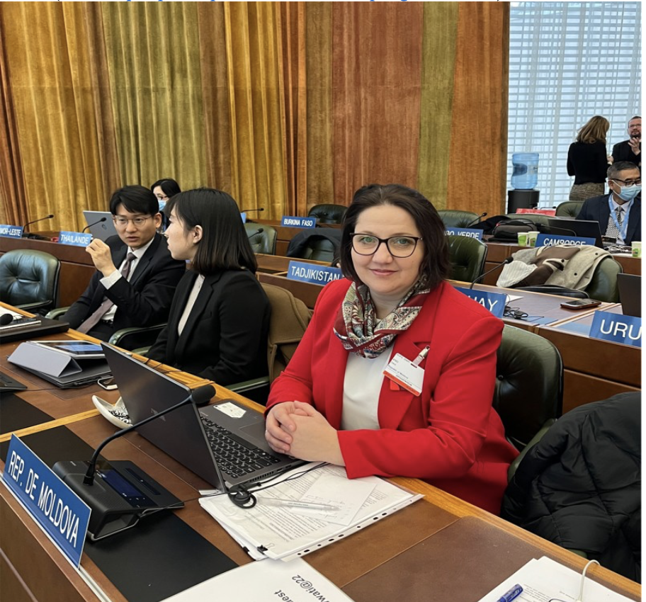 Lux și opulență la AGEPI în timp ce autorii trăiesc la limita existenței: Salarii de milioane de lei, venituri din dobânzi și mașini scumpe